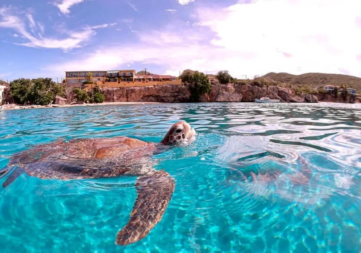 Het Paradijs In Jan Thiel! Curacao